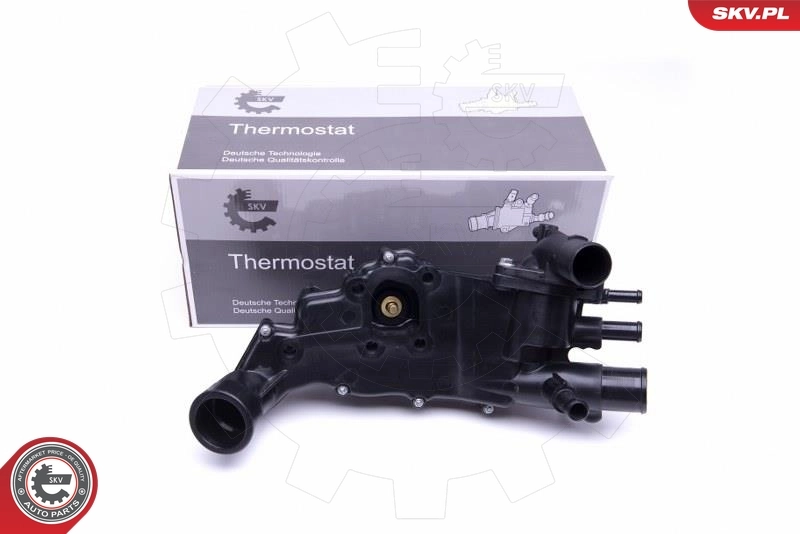 Thermostat, coolant